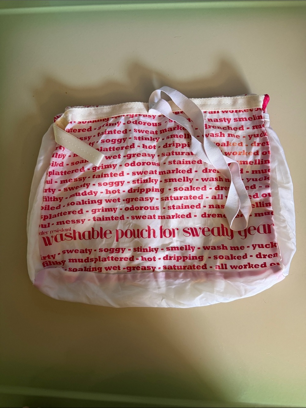 Vintage lululemon Washable sweaty gear Bag - wet bag